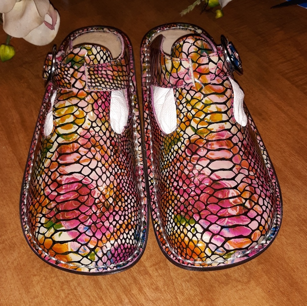Alegria Classic Rainbow Snake Patent Leather Clog